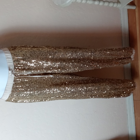 Victoria's Secret Sequined Pants - Picture 1 of 7